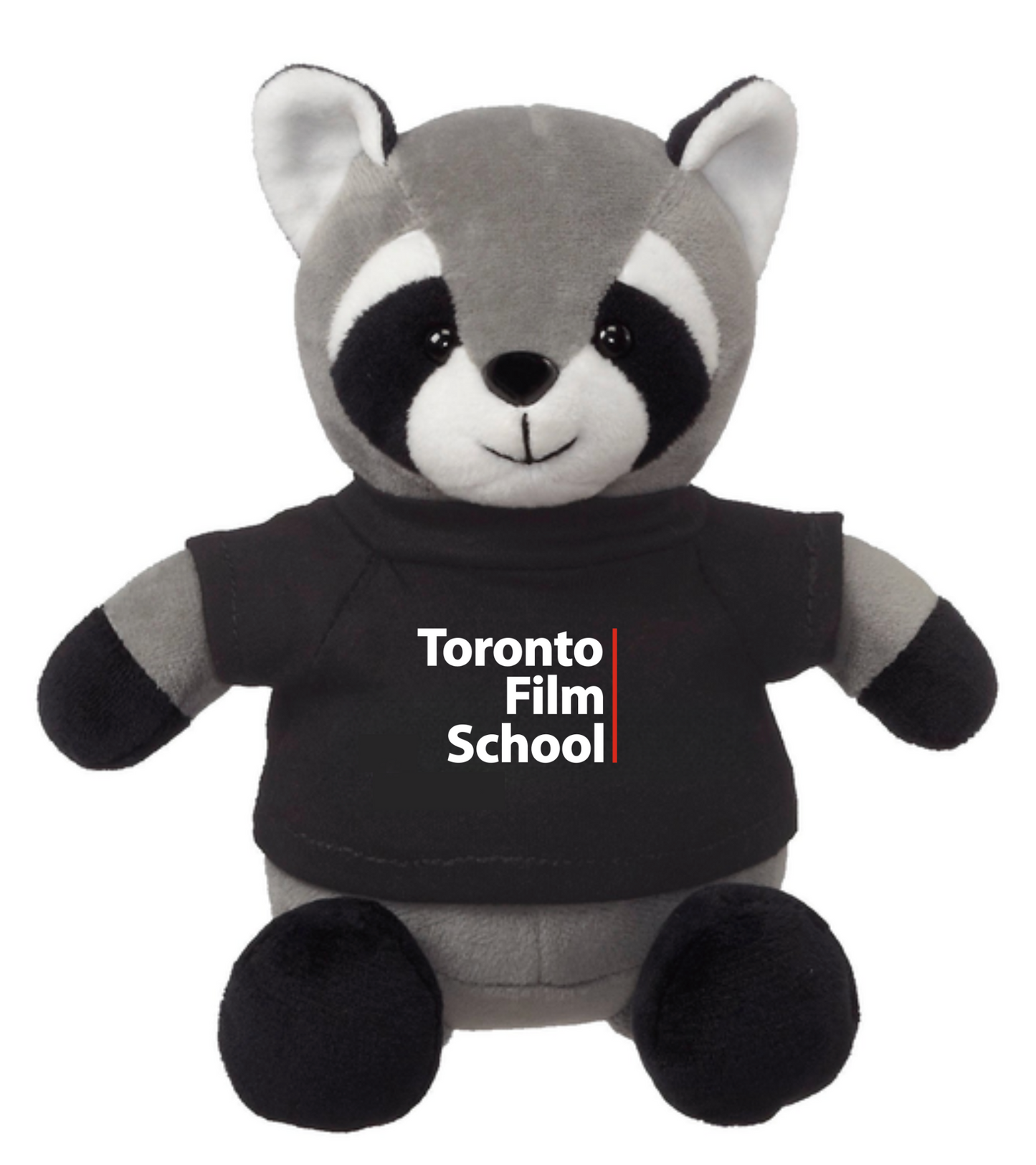 TFS Raccoon